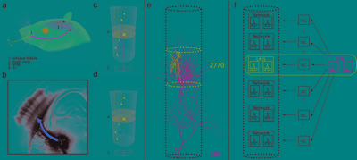 3D reverse engineering and simulation of signal flow in anatomically realistic neuronal networks 