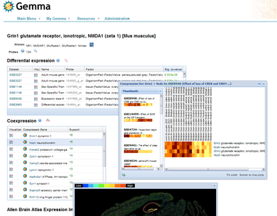 A neuroinformatics framework for gene expression meta-analysis