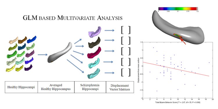 Studying Brain & Behavior in Schizophrenia: Multivariate Surface Analysis of Hippocampus