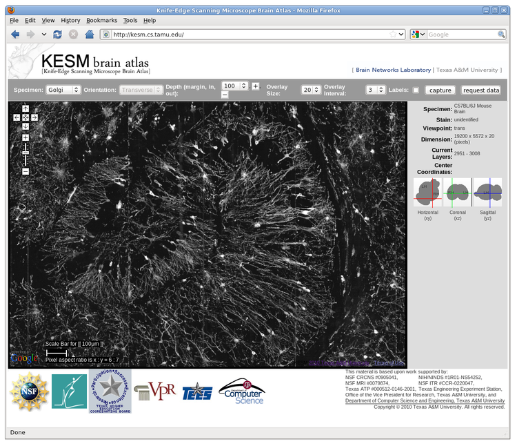 Knife-Edge Scanning Microscope Brain Atlas: A Web-Based, Light-Weight 3D Mouse Brain Atlas