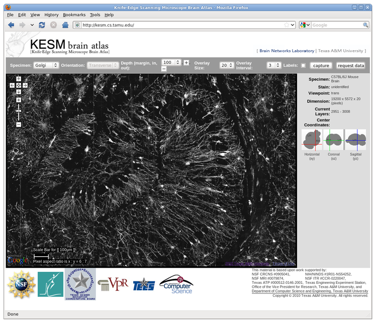 Knife-Edge Scanning Microscope Brain Atlas: A Web-Based, Light-Weight 3D Mouse Brain Atlas Knife-Edge Scanning Microscope Brain Atlas: A Web-Based, Light-Weight 3D Mouse Brain Atlas