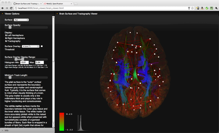 Realtime Visualization of the Connectome in the Browser using WebGL