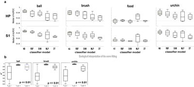 Representation of freely-explored objects in the primary somatosensory cortex and hippocampus