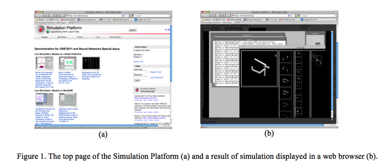 Simulation Platform: Quick and easy access environment of model simulation in computational neuroscience