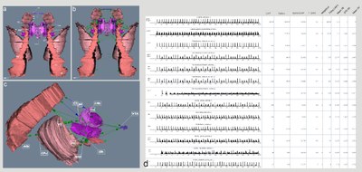 The connectome of the rat central nervous system in neuroVIISAS