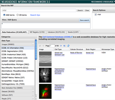 The Neuroscience Information Framework (NIF): A Unified Semantic Framework and Portal for Discovery and Integration of Biomedical Data and Resources on the Web