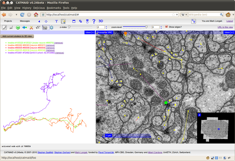 Web-based collaborative neuronal reconstruction with CATMAID